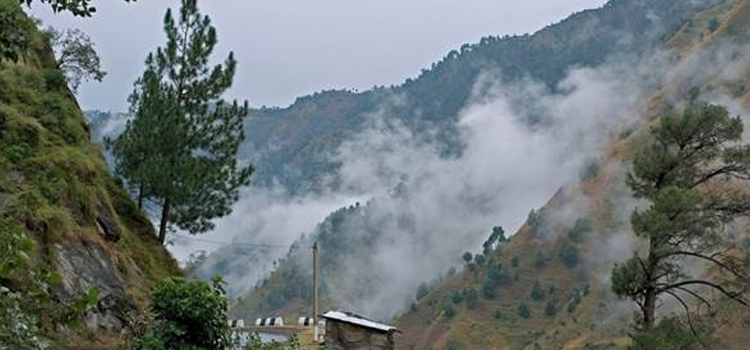Kasauli